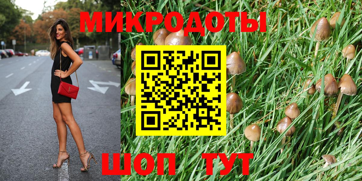 Псилоцибиновые грибы MAGIC MUSHROOMS  Вход с VPN  Можга 